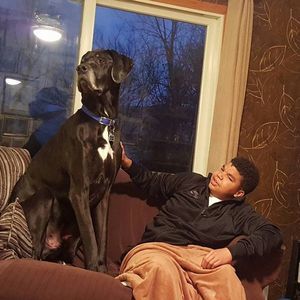 Meet your Posher, Brandon